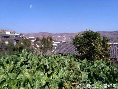 有关愿你别学你小这个和把而别发你把里温柔相待的句子