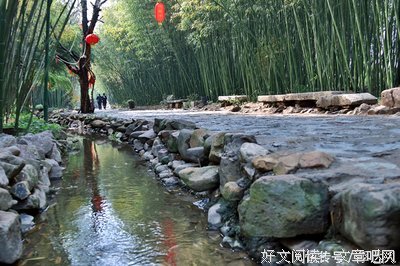 诗情