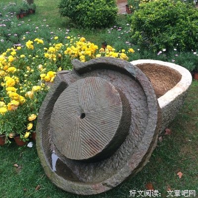 从你的全世界路过名句欣赏