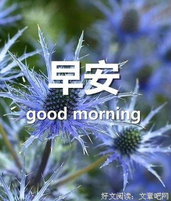 心优美的句子