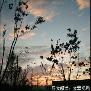 你陪我一程，我记你一生