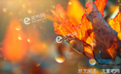 风景句子