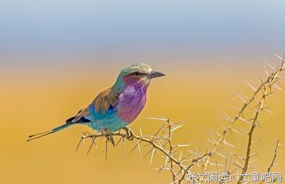 《陈昌文方法》读后感1000字