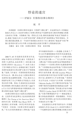 《拉维尔斯坦》读后感100字