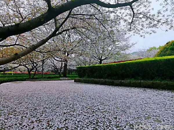 补锅匠