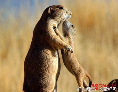 高高在上格言警句