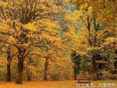 视而不见格言警句