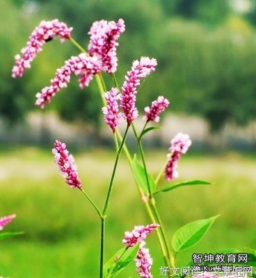 看不见句子大全