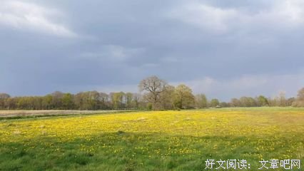 沐儿 