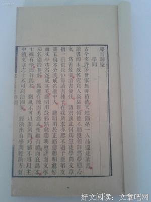 栖见的格言
