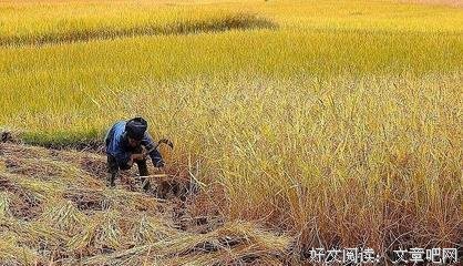 《慢慢》的句子