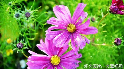 《不心却水归而只。》的句子