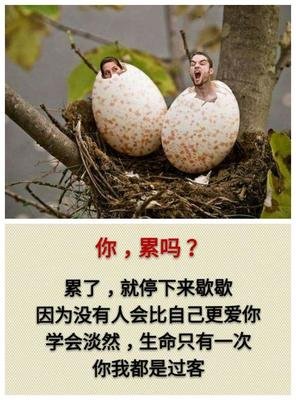 你累吗？？？