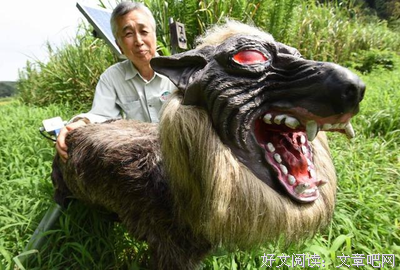 《抓住救命稻草的野兽们》的影评大全