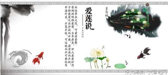 Everything I Never Told You读后感100字
