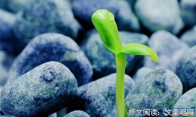 关于一阵风的名言
