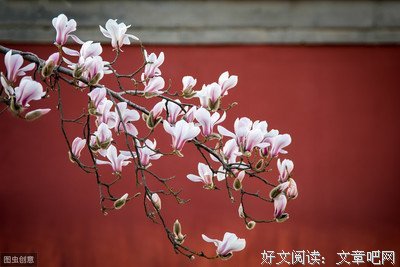 关于春夏秋冬名言名句