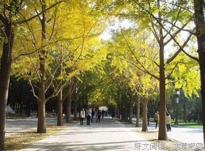 生老病死的名人名言
