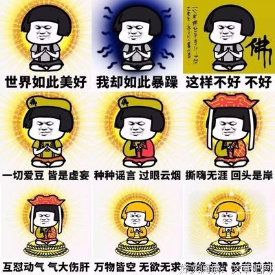 15条关于何去何从的经典语句