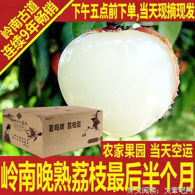 古道词风 过天么我也难馆君心经典名句