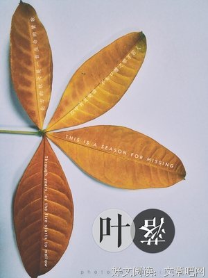知乎热门：每天什么都不想做，只想躺着玩手机，怎么办？
