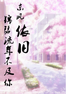 锦瑟流年优美的句子