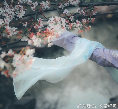 我枕星河入你梦