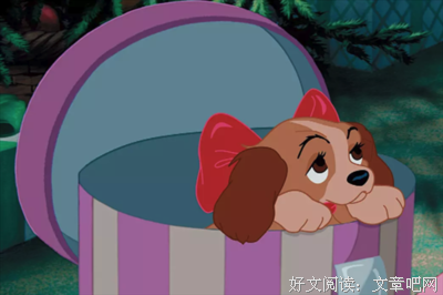 《小姐与流浪汉》经典观后感1000字