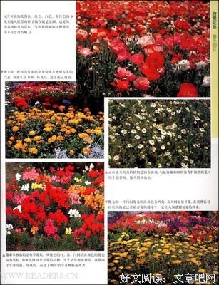 《DK园艺新手百科》读后感摘抄