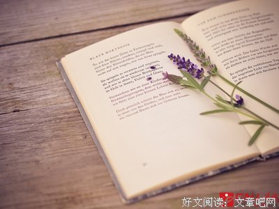 未来病史读后感100字
