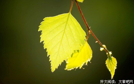 做这件事有什么用 