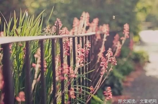 体谅你的不正确