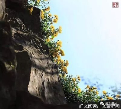 关于皆大欢喜的名句摘抄