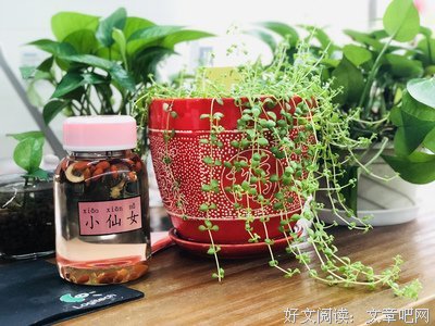 弥足珍贵的句子