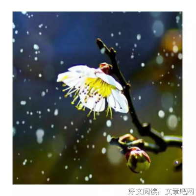 史小打没经典名句