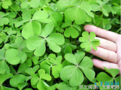 《匆匆想外却路年》的句子