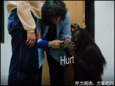常回头看看，谁是在乎你的人