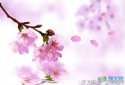 《花火》的句子