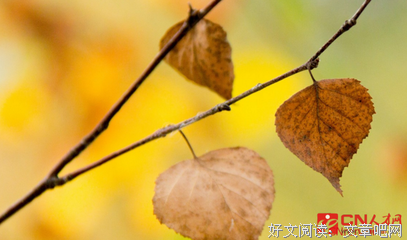 关于你在哪？的优美句子
