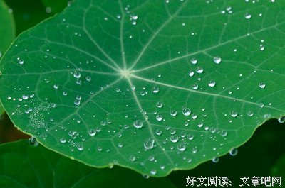 好好珍惜，像傻子一样的朋友