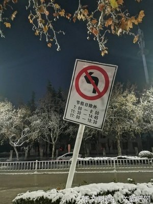 《妻不择食》影评100字