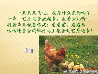《摸鱼者》读后感精选