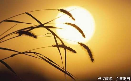 人要活到终极体面