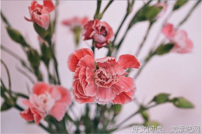 关于过眼云烟的座右铭