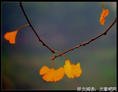 关于若即若离的座右铭