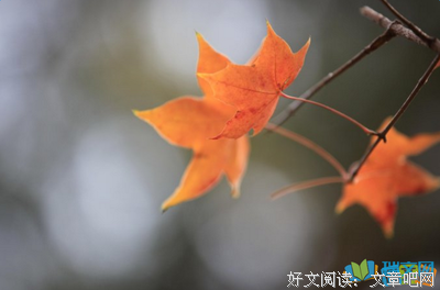 关于与世隔绝名言名句