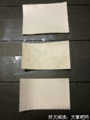 15条关于狂风暴雨的经典语句