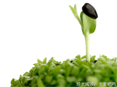 请珍惜，走进你生命中的人