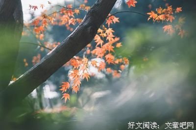 虚情假意的名句_关于虚情假意的名句