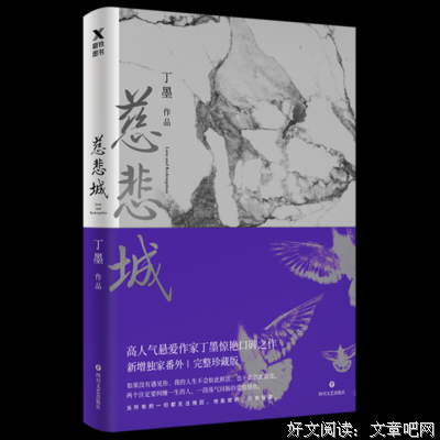 慈悲城优美的句子